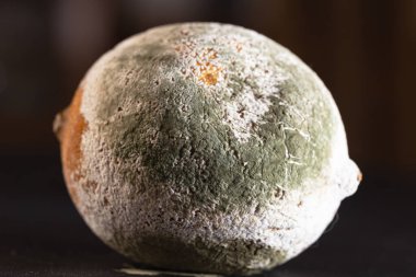 Koyu arkaplanda küflü limon