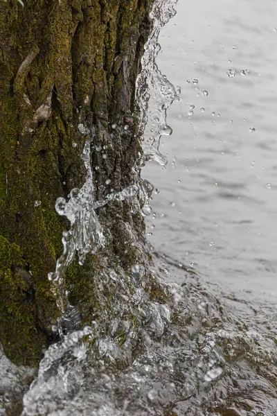 Vågor Vatten Mot Trädet — Stockfoto
