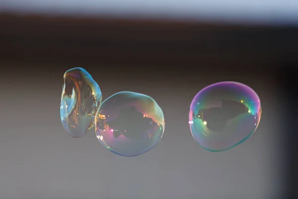 Bolhas Sabão Fundo Escuro — Fotografia de Stock