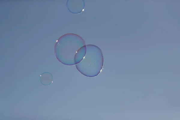 Soap Bubbles Blue Sky Background — Stock Photo, Image
