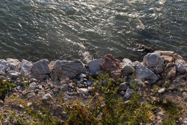 Güneş ışığı dalgalı sularda parıldıyor. Sert bir taşın yanında ve aşırı büyümüş kayalık bir kıyıda..