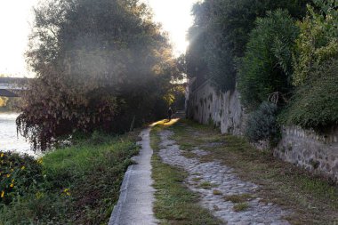 Yolda yürüyen kişi, yoğun ağaçlarla ve güneş ışığı altında uzak bir köprüyle nehir kıyısında koşar..