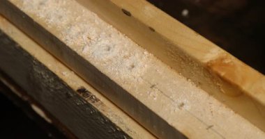 Talaş ve Çoklu Delikler ile Delinmiş Ahşap Plankların Yakın Çekimi.