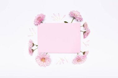 Çiçek kompozisyonu, pembe pastel kağıtlar boş, pembe çiçekler beyaz arka planda düz, üst manzara, kopyalama alanı