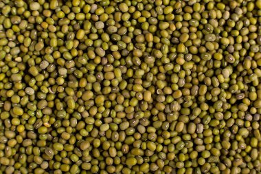 Mung fasulye arkaplan dokusu, arkaplan deseni, yeşil fasulye, üst görünüm