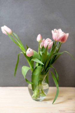 Masadaki pembe lalelerin bahar sıcacık kompozisyonu, fotokopi alanı, uluslararası kadınlar günü. Lale buketi konsepti