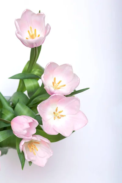 Boeket Van Roze Tulpen Geïsoleerd Wit Bovenaanzicht Lente Bloem Concept — Stockfoto