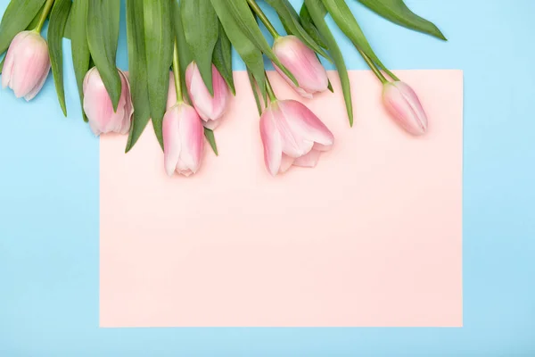 Lente Gezellige Compositie Roze Tulpen Blauwe Pastelachtergrond Kopieerruimte Wenskaart — Stockfoto