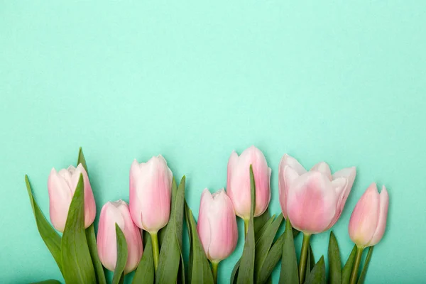 Lente Gezellige Compositie Roze Tulpen Groene Pastelachtergrond Sptingtime Achtergrond Kopieerruimte — Stockfoto