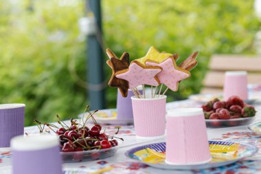 Erkek ya da kız çocuk doğum günü partisi için dekore edilmiş masa, çocukların doğum günü partisi masası ve zencefilli kurabiye.