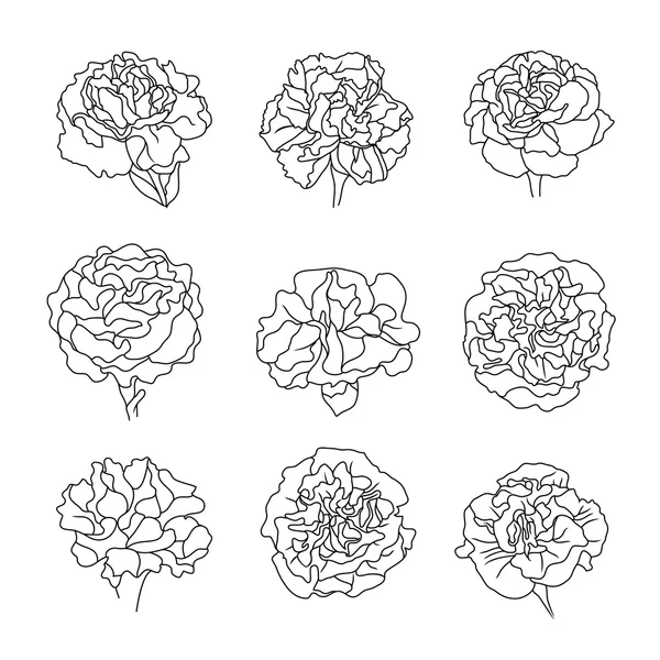 Carnation bloem pictogrammen — Stockvector