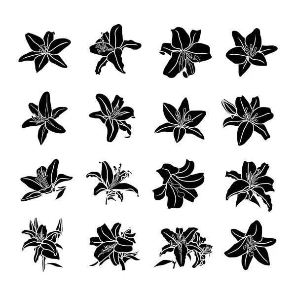 Lily flowers icons — Stock Vector