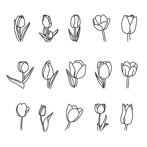 Conjunto de ícones de tulipa — Vetor de Stock
