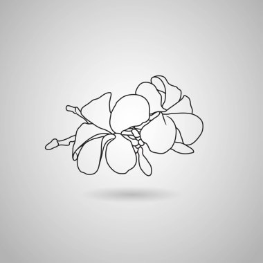 Plumeria çiçek simgesi