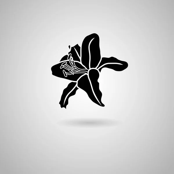 Black Lily bloem pictogram — Stockvector