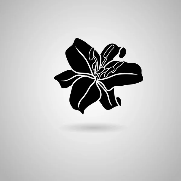 Black Lily flower icon — Stock Vector