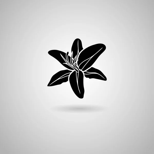 Black Lily bloem pictogram — Stockvector