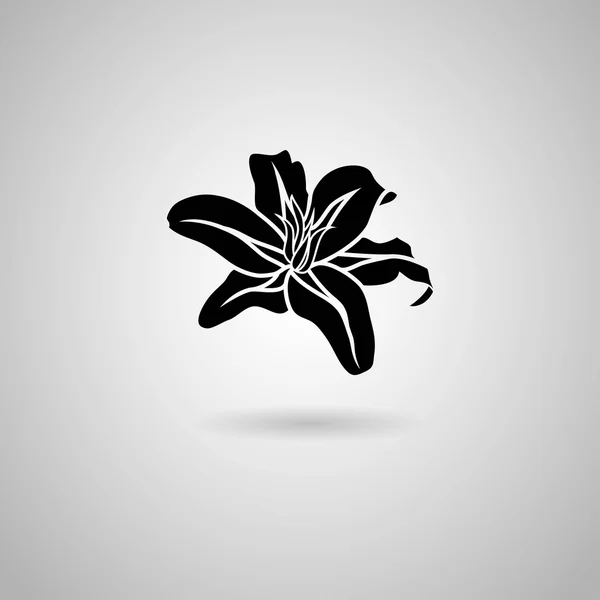 Black Lily flower icon — Stock Vector