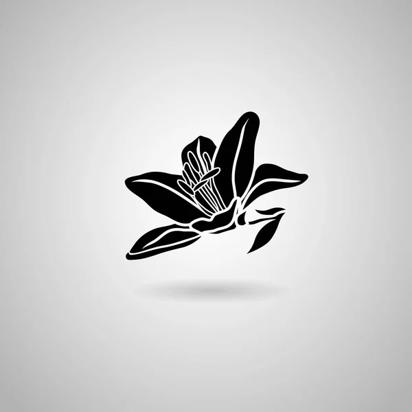 Black Lily bloem pictogram — Stockvector