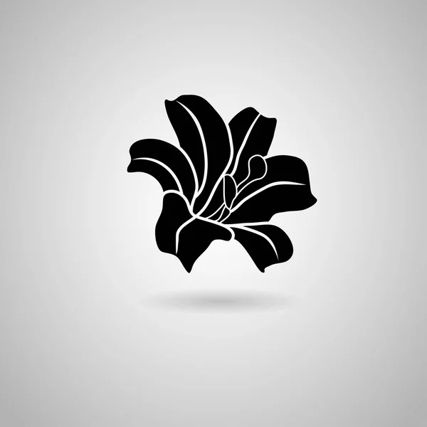 Siyah Lily çiçek simgesi — Stok Vektör