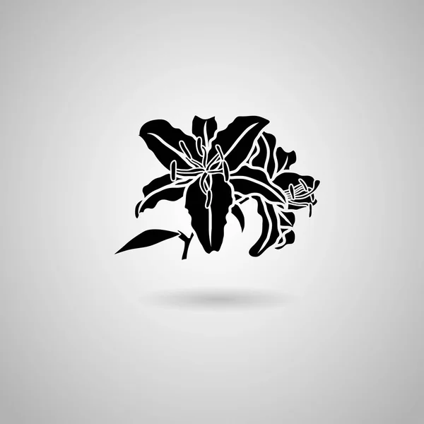 Чорна ікона квітки лілії — стоковий вектор