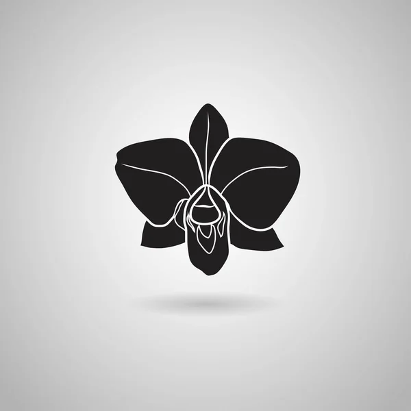 Ikone der Orchideenblume — Stockvektor