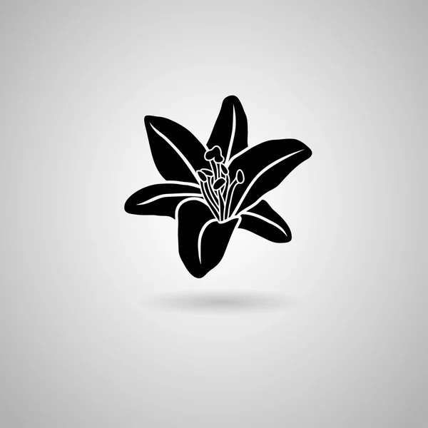 Black Lily flower icon — Stock Vector