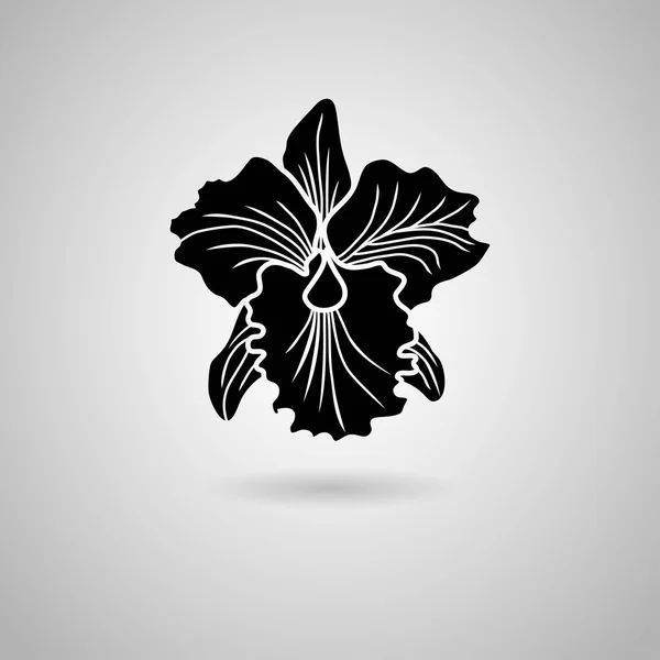 Orchideebloem pictogram — Stockvector