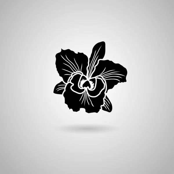 Icono de flor de orquídea — Vector de stock