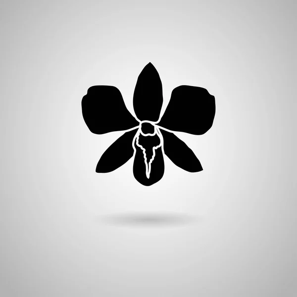 Orchid flower icon — Stock Vector