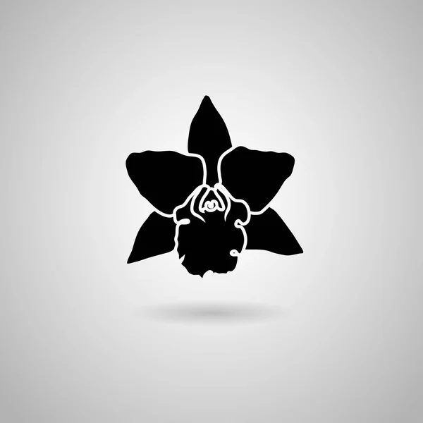 Orchid flower icon — Stock Vector