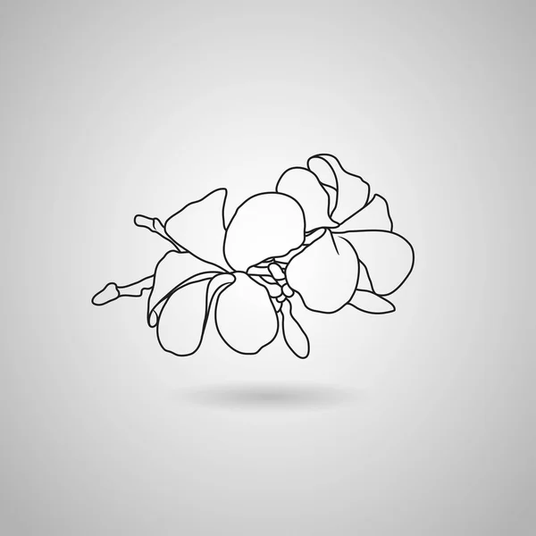 Plumeria bloemen pictogram — Stockvector