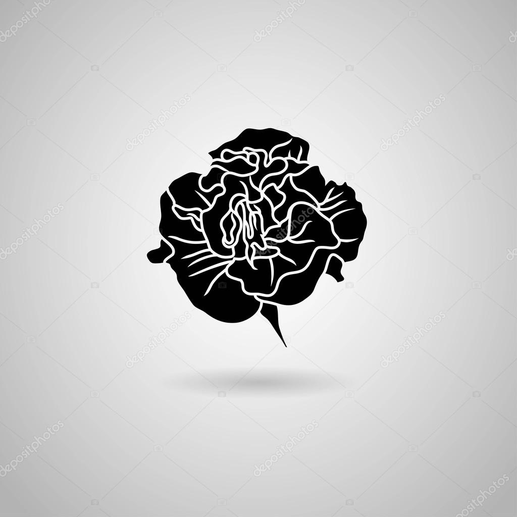 Clavel negro flor vector, gráfico vectorial © Boykung imagen 71134435