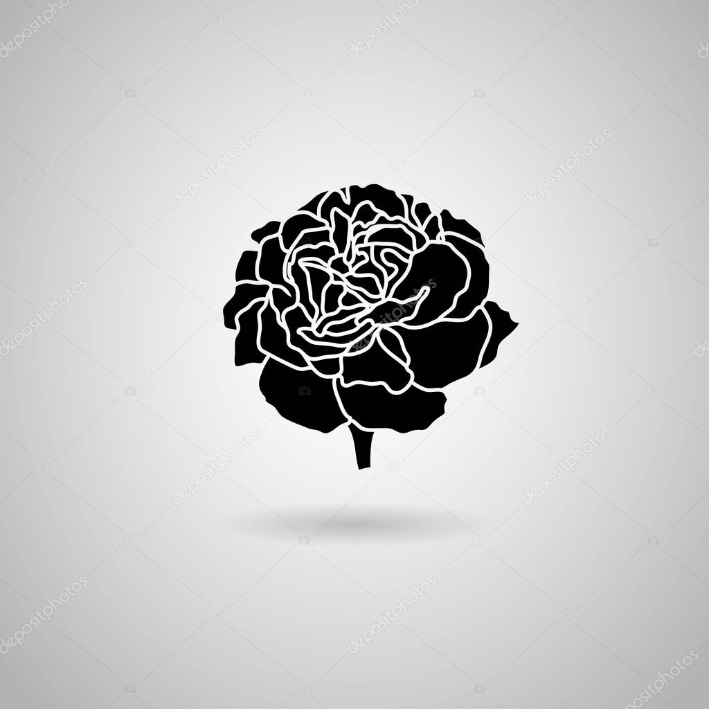 Black carnation flower Stock Vector by ©Boykung 71134801, image size:1024x1024
