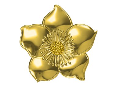 Beyaz arka plan üzerinde kolye.