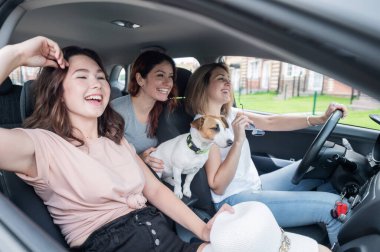 Üç arkadaş bir köpekle arabada seyahat ediyorlar.