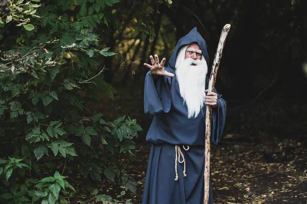 Un mago con una lunga barba grigia lancia un incantesimo in una fitta foresta — Foto Stock