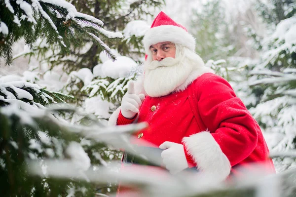 Здивований Санта Клаус йде через сніжний хвойний ліс на Північному полюсі в Лапландії. Веселого Різдва. Листівка. — стокове фото