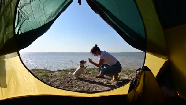 Вид з туристичного намету на жінку, що грає з собакою на березі моря. Дівчина організувала табір у сільській місцевості . — стокове відео