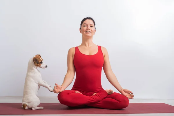 Donna caucasica in tuta rossa si siede in posizione di loto accanto al cane. Yoga con un animale domestico — Foto Stock
