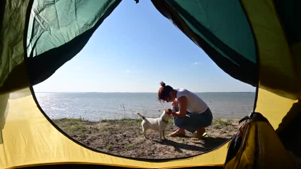 Deniz kıyısında köpekle oynayan bir kadının turist çadırından görüntüsü. Kız kırsalda kamp kurmuş.. — Stok video