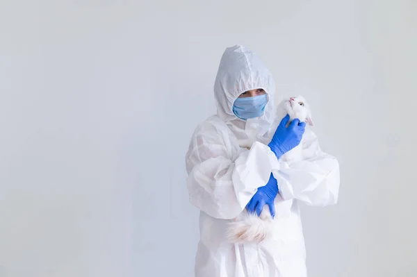 Eine Frau im Schutzanzug mit Handschuhen und Maske hält eine weiße Katze. Arzt testet Haustiere auf Coronavirus — Stockfoto