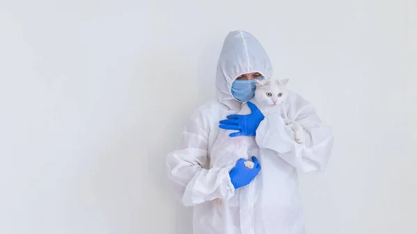 Eine Frau im Schutzanzug mit Handschuhen und Maske hält eine weiße Katze. Arzt testet Haustiere auf Coronavirus — Stockfoto