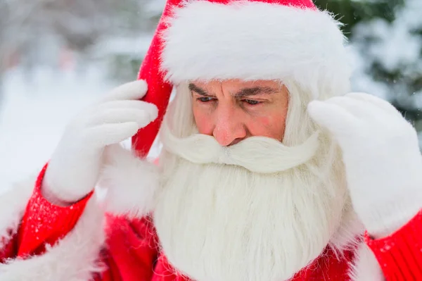 Überrascht spaziert der Weihnachtsmann durch einen verschneiten Nadelwald am Nordpol in Lappland. Frohe Weihnachten. Postkarte. — Stockfoto