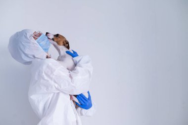 Koruyucu takım elbiseli ve maskeli bir kadın beyaz bir arka planda Jack Russell Terrier köpeği tutuyor.
