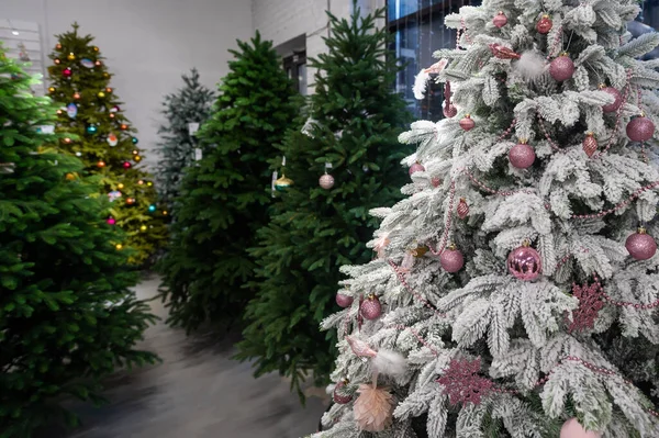 Επιλογή τεχνητών χριστουγεννιάτικων δέντρων στο κατάστημα — Φωτογραφία Αρχείου