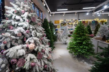Mağazadaki yapay Noel ağaçlarının seçimi