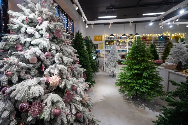 Urval av konstgjorda julgranar i butiken — Stockfoto