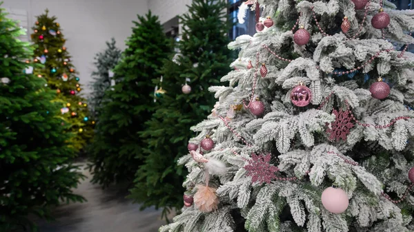 Seleção de árvores de Natal artificiais na loja — Fotografia de Stock