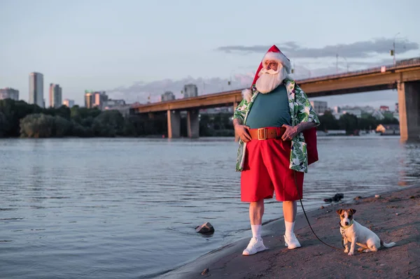 Le Père Noël en short marchant le long de la plage avec le chien Jack Russell Terrier. — Photo